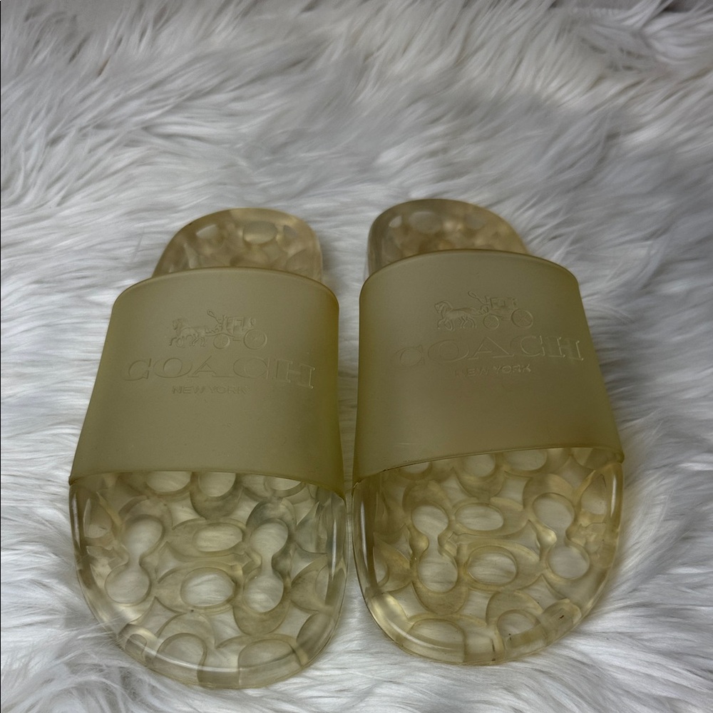 Coach Transparent Slides